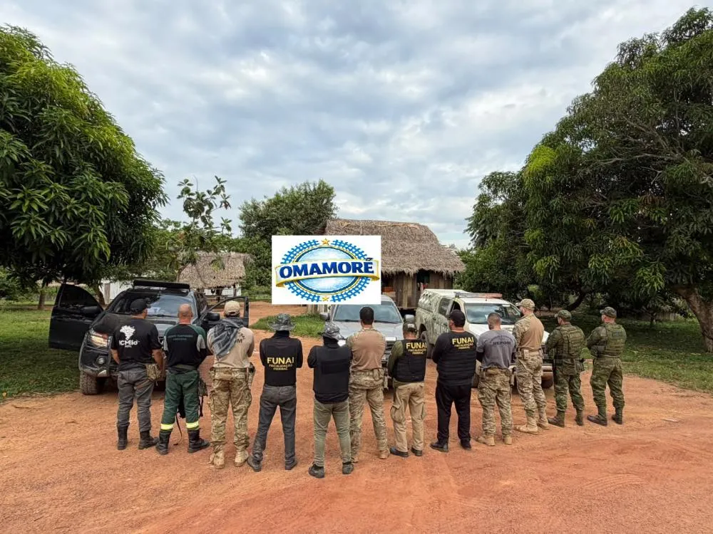 PF combate extração ilegal de madeira em terra indígena